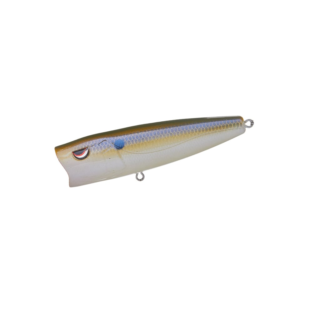 The SPRO Essential Series E Pop 80 is a fish-shaped popper bait with a blue and gold top, white underside, red and black eye, and metal loops for hooks or line—ideal for explosive topwater strikes.