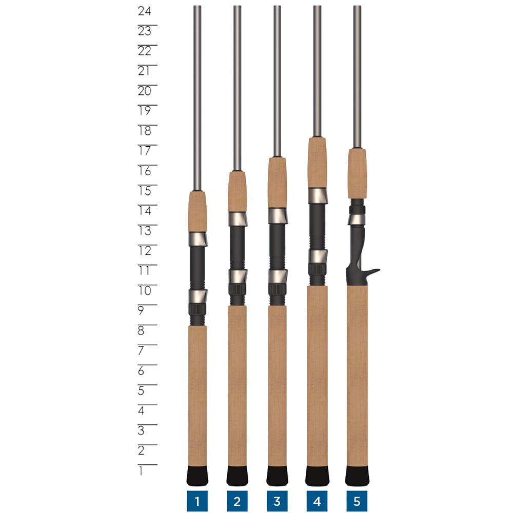 Five fishing rods with cork handles are lined up vertically, each labeled 1–5 at the bottom. A measurement scale from 1–24 is on the left. The fourth rod is a St. Croix Avid Trek Travel Spinning Rod 7'0” Medium Light (ATS70MLF3) with a different reel seat.