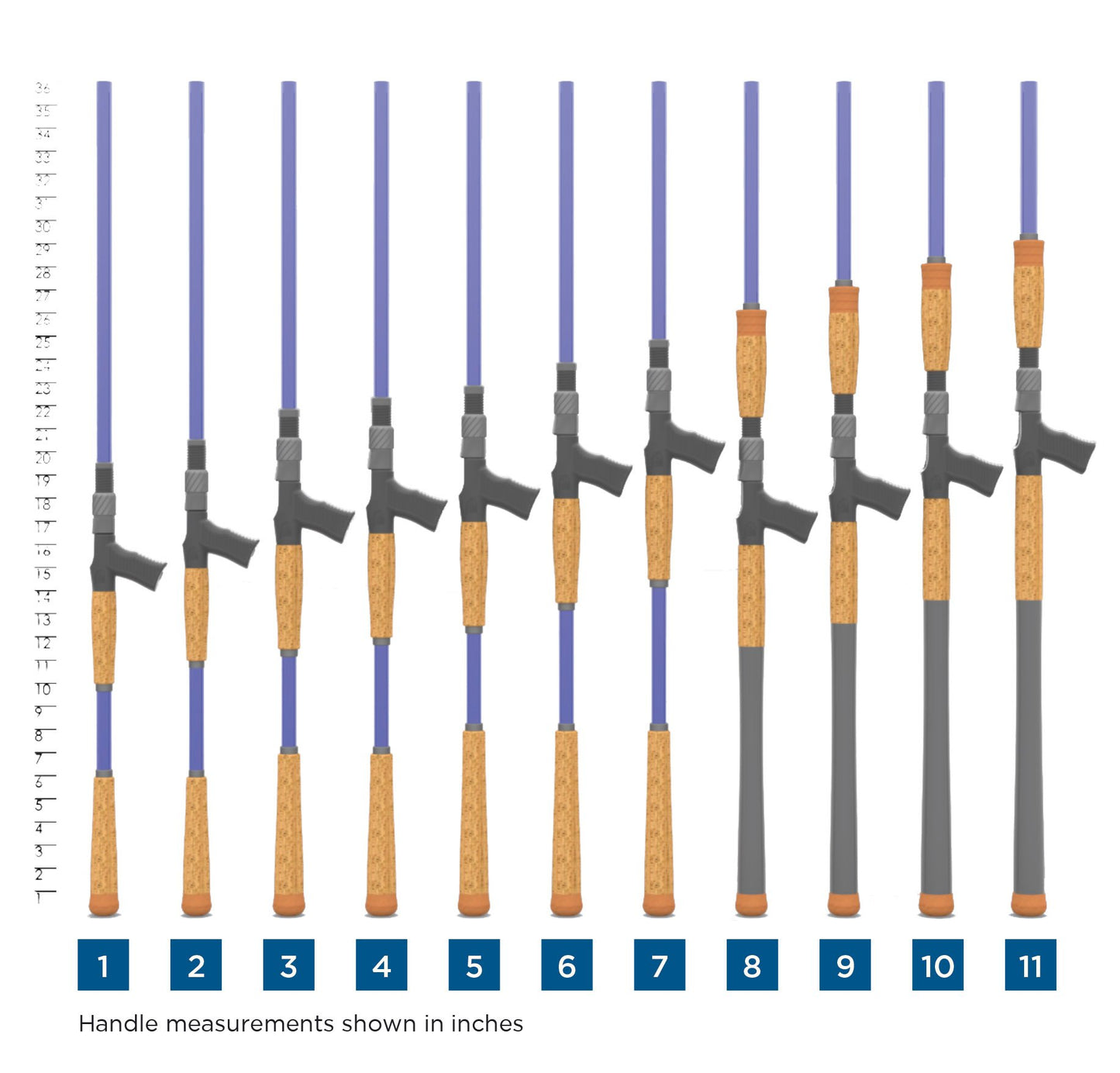Eleven fishing rods, including the St. Croix Legend Tournament Musky Casting Rod 9’6” Heavy Telescoping Blademaster II, stand upright in a row with varying handle lengths and are numbered 1 to 11 below a vertical inch ruler.