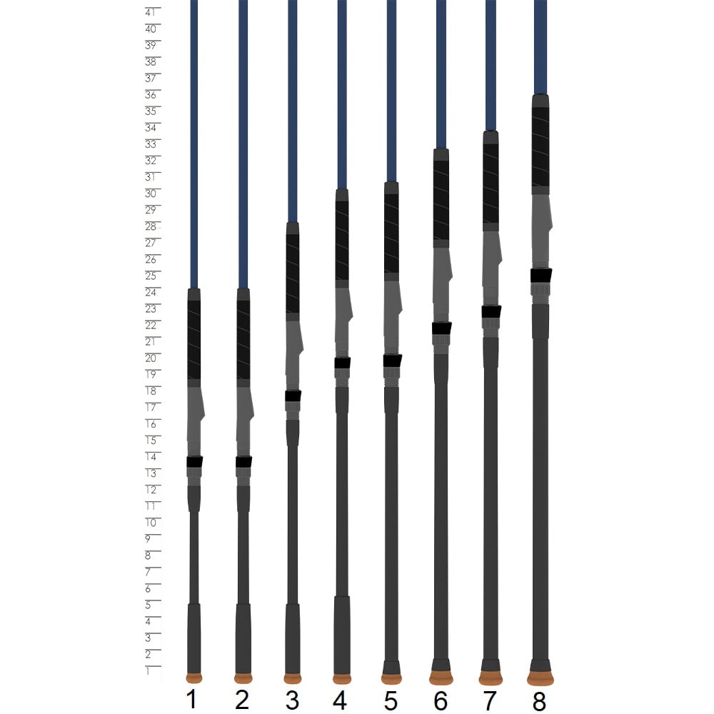 Eight St. Croix Seage Surf Series Spinning Rods, including the 7’0” Medium Light 1pc (SES70MLMF), are lined up vertically next to an inch height chart, numbered 1–8 from left to right in increasing length.