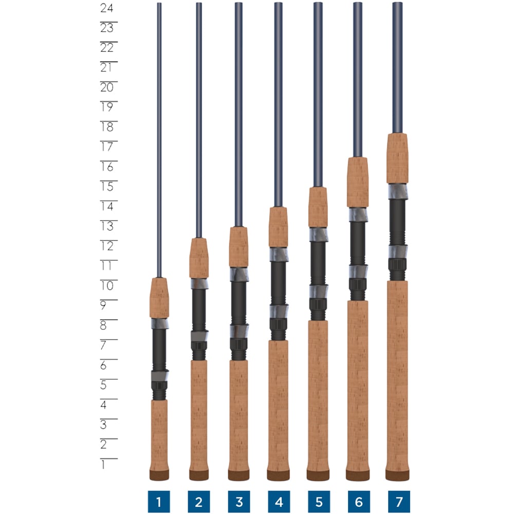 Seven fishing rods, including the St. Croix Triumph Spinning Rod 6'6” Medium by St. Croix, stand upright in a row with cork handles and blue-gray Premium SCII Carbon shafts; a ruler marks their heights from 7 to 24 units.