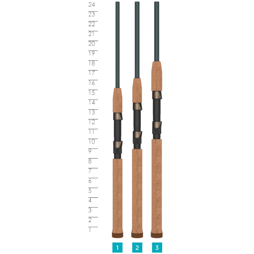 Three St. Croix Triumph Inshore Spinning Rod handles (7'6” Medium | TRIS76MF) with cork grips stand upright next to a ruler marked 5–24, each labeled 1, 2, and 3 at the bottom.