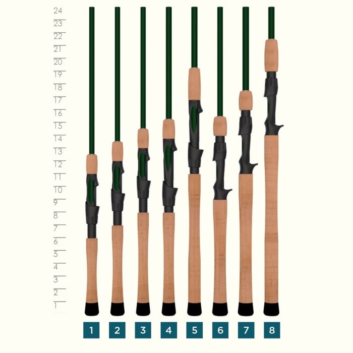 Eight St. Croix Legend Elite 7'0" Medium Heavy Casting Rods (EC70MHF) are displayed upright beside a vertical inch ruler, featuring cork handles, green shafts, and Integrated Poly Curve Technology.