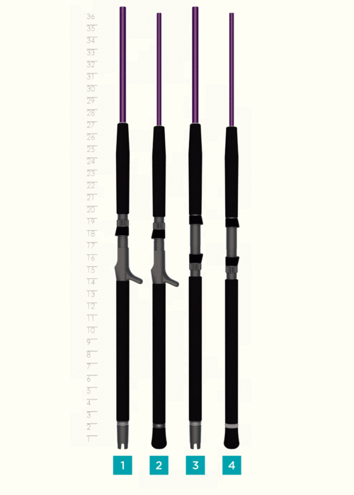 Four St. Croix Mojo Jig 5'8" Heavy Conventional Rods (MJJC58HMF) stand upright against a height chart, labeled 1–4 in blue boxes. Each features black grips, purple tips, and a design ideal for saltwater vertical jigging.