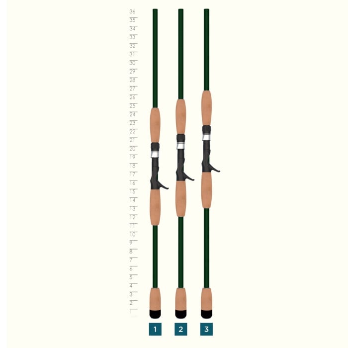 Three fishing rods with green shafts and light brown handles stand vertically by an inch-marked height chart (6–36"). Each, including a St. Croix Legend Elite Musky 7'6" Extra Heavy Casting Rod by St. Croix, is labeled 1, 2, and 3 at the bottom.