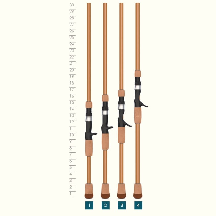 Four St. Croix Legend Glass 6'10" Medium Heavy Casting Rods by americanlegacyfishing, with black reels and IPC mandrel technology, stand vertically in increasing height order from left to right. They are labeled 1 to 4 beside a measurement scale that marks off inches from 1 to 30.