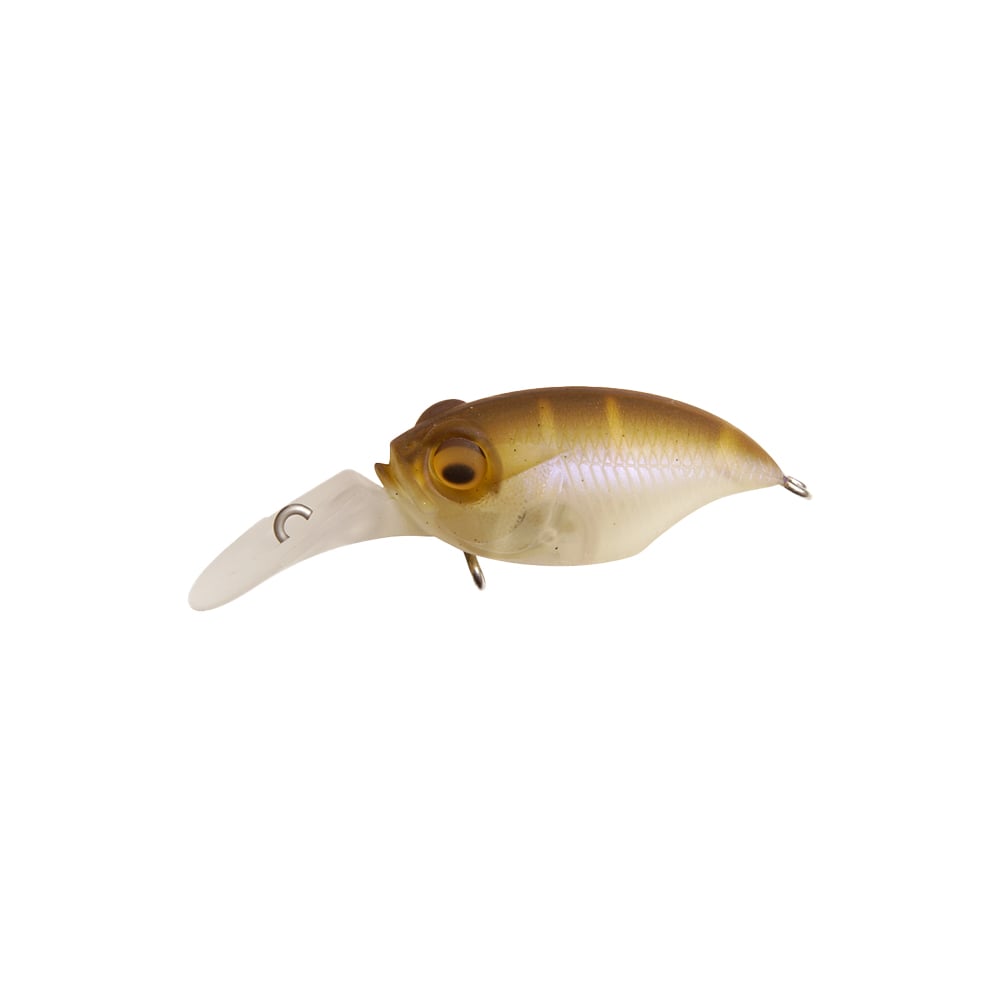 Megabass MR-X Griffon BFS Crankbait Mat Shad