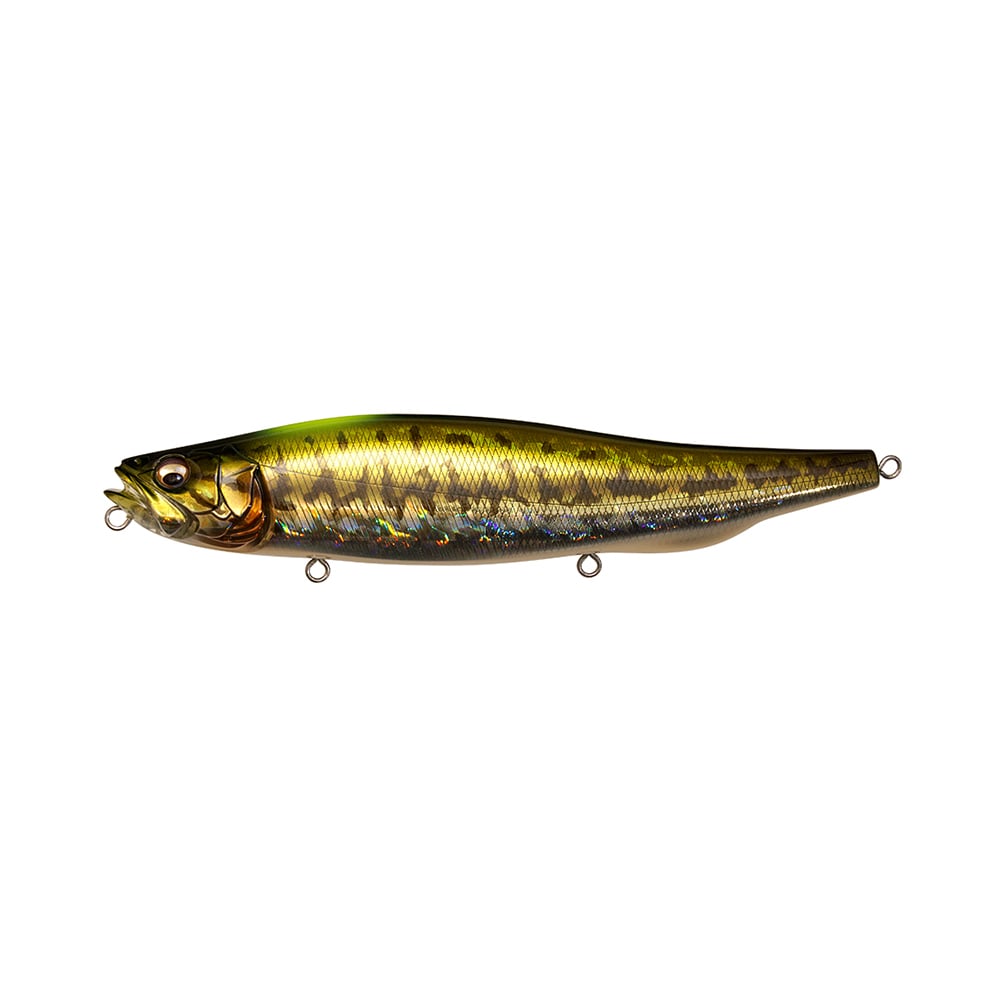 Megabass Megadog-X GG Indicator Bass