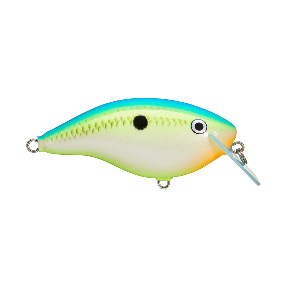 Rapala OG Big Rocco 6 Crankbait
