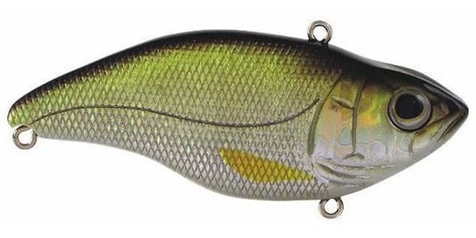 The SPRO Aruku Shad Lipless Crankbaits are shaped like small fish and feature metallic green to yellow gradient bodies with realistic eyes and scales. They include attachment rings on top and bottom for compatibility with Gamakatsu treble hooks, ensuring optimal performance.