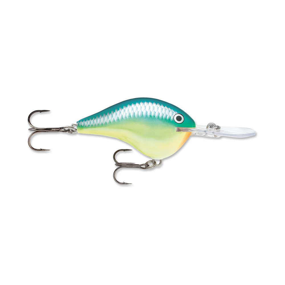 Rapala DT Series Crankbait DT10 Caribbean Shad  DT10CRSD - American Legacy  Fishing, G Loomis Superstore