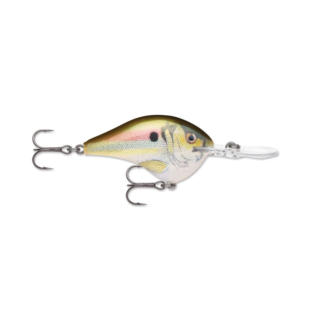 Rapala DT Series Crankbait DT10 Live River Shad  DT10RSL - American Legacy  Fishing, G Loomis Superstore