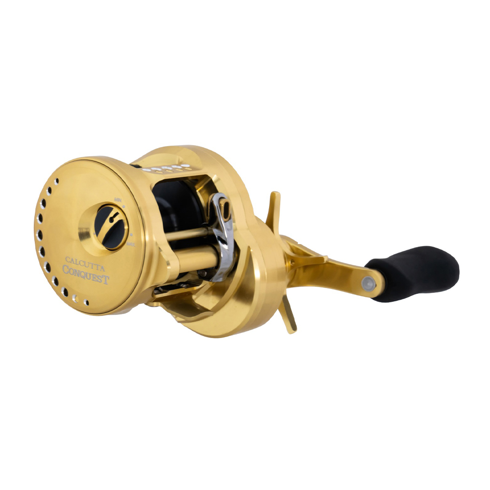 Shimano Calcutta Conquest Casting Reel 200A 4.8:1  CTCNQ200A - American  Legacy Fishing, G Loomis Superstore