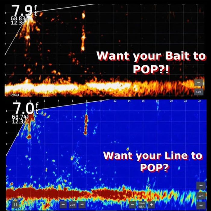 Bait Pop Chartreuse - LIVE SONAR INTENSIFIER Scented Sparklscales .5oz Tube  