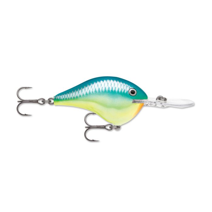 Rapala DT Series Crankbait DT08 Caribbean Shad  DT08CRSD - American Legacy  Fishing, G Loomis Superstore