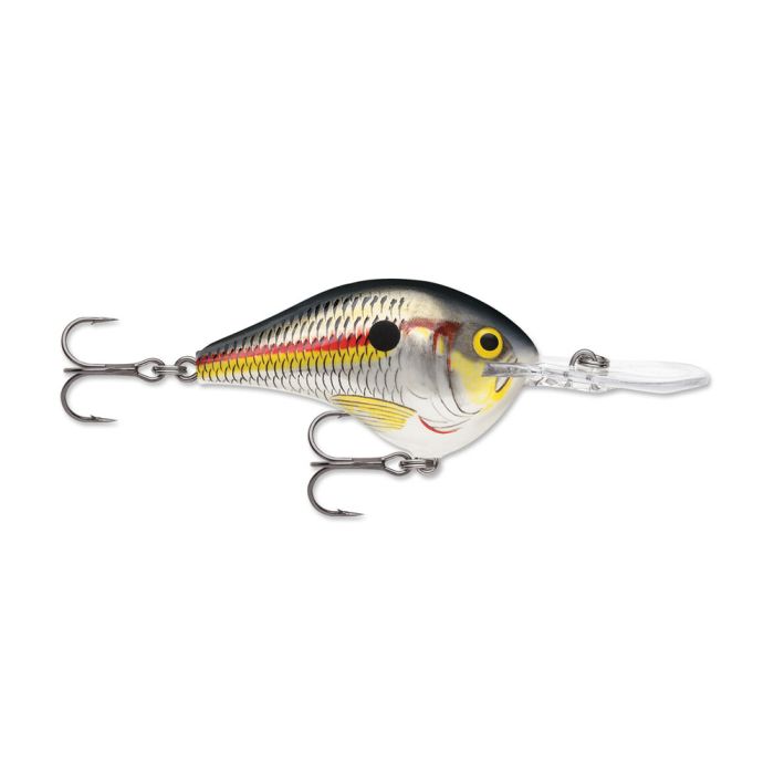 Rapala DT Series Crankbait DT08 Shad  DT08SD - American Legacy Fishing, G  Loomis Superstore