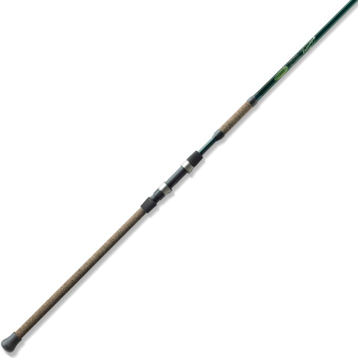 St Croix 2020 Triumph Surf Spinning Fishing Rod 